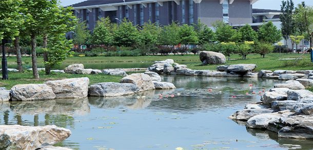 北京中医药大学 - 2025年 面向香港、澳门、台湾地区、华侨招生简章