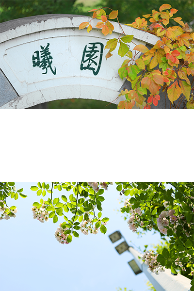 北京师范大学 - 流金歲月