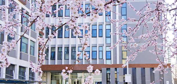 中央财经大学 - 2025年 面向香港、澳门、台湾地区、华侨招生简章