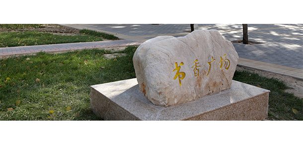 对外经济贸易大学 - 2025年 面向香港、澳门、台湾地区、华侨招生简章