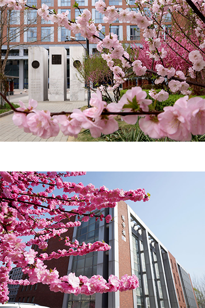 首都经济贸易大学 - 流金歲月