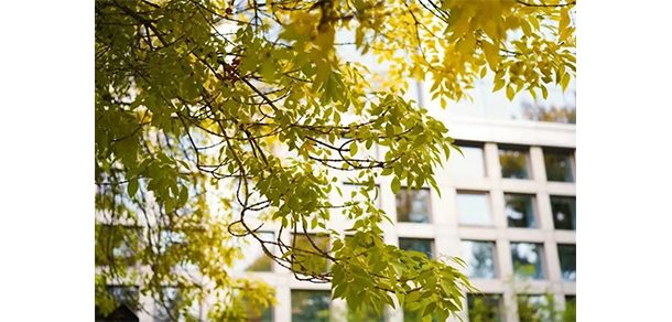北京电影学院 - 2025年 面向香港、澳门、台湾地区、华侨招生简章