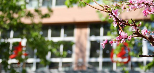 中国矿业大学（北京） - 2025年 面向香港、澳门、台湾地区、华侨招生简章