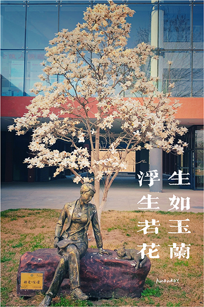 北京第二外国语学院中瑞酒店管理学院 - 流金歲月