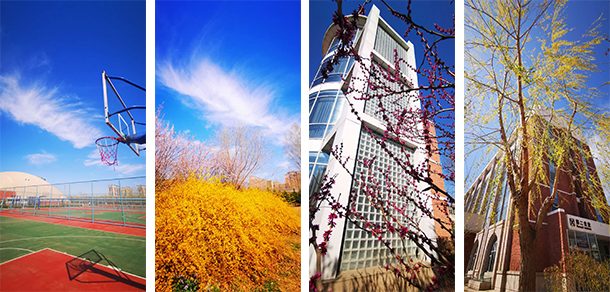 中国社会科学院大学 - 流金歲月