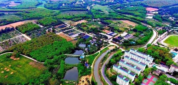 海南大学 - 2025年 面向香港、澳门、台湾地区、华侨招生简章