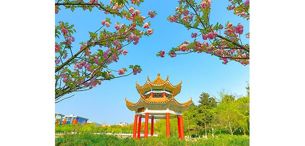 西南政法大学 - 2025年 面向香港、澳门、台湾地区、华侨招生简章