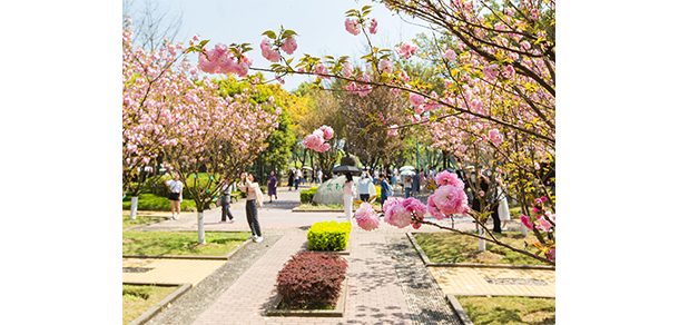 西南政法大学 - 2025年 面向香港、澳门、台湾地区、华侨招生简章