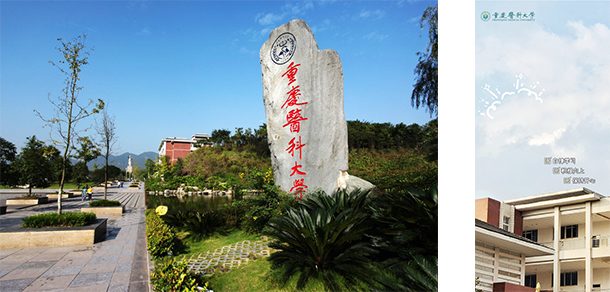 重庆医科大学 - 2025年 面向香港、澳门、台湾地区、华侨招生简章