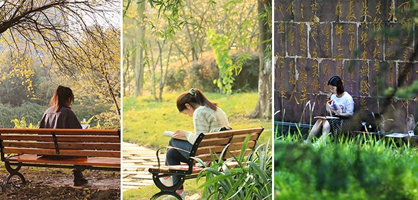 重庆师范大学 - 2025年 面向香港、澳门、台湾地区、华侨招生简章