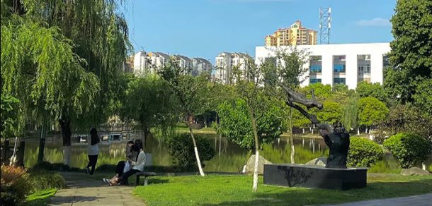 四川音乐学院 - 2025年 面向香港、澳门、台湾地区、华侨招生简章