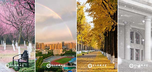 电子科技大学 - 流金歲月