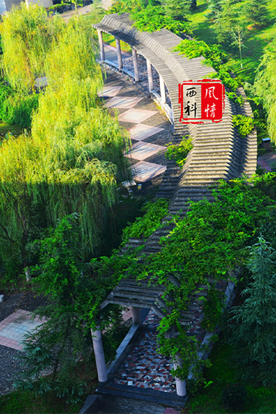 西南科技大学 - 流金歲月