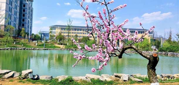 贵州医科大学 - 流金歲月