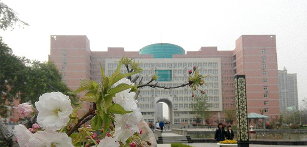陕西中医药大学 - 2025年 面向香港、澳门、台湾地区、华侨招生简章