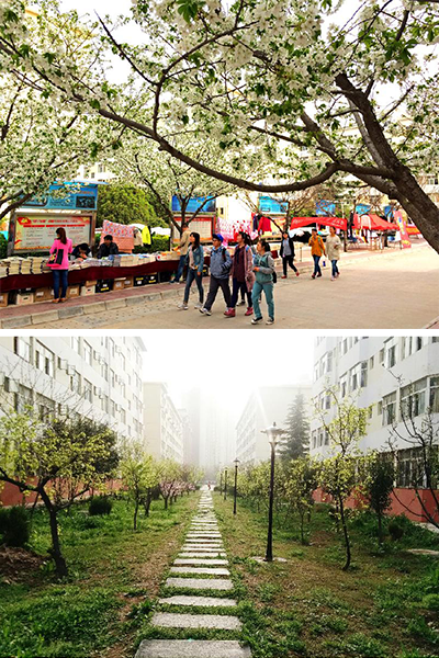 陕西中医药大学 - 流金歲月
