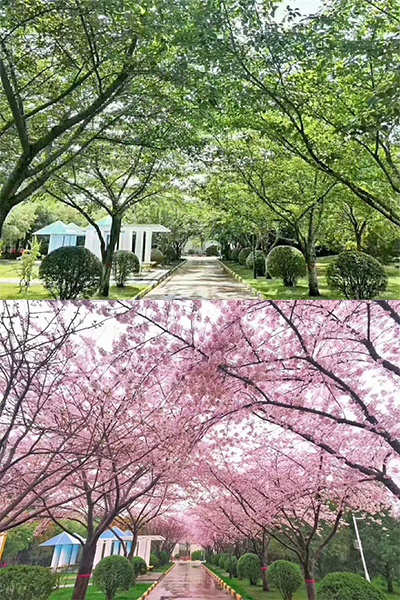 西安思源学院 - 流金歲月