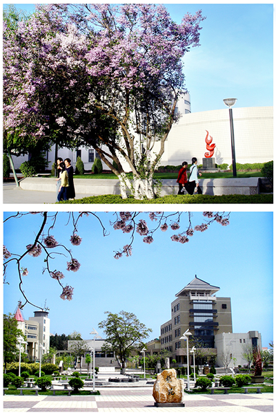 西北师范大学 - 流金歲月