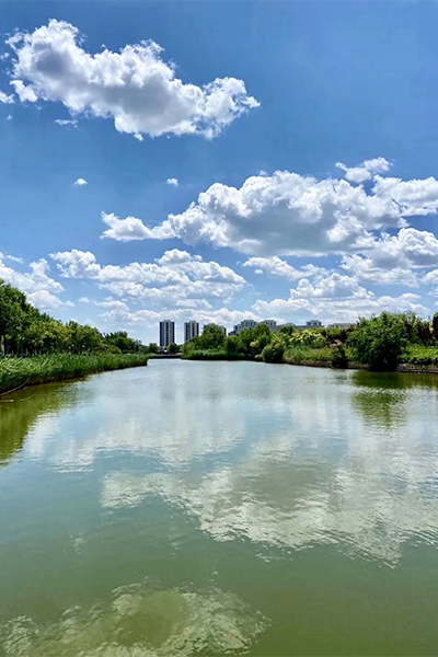 天津师范大学 - 流金歲月