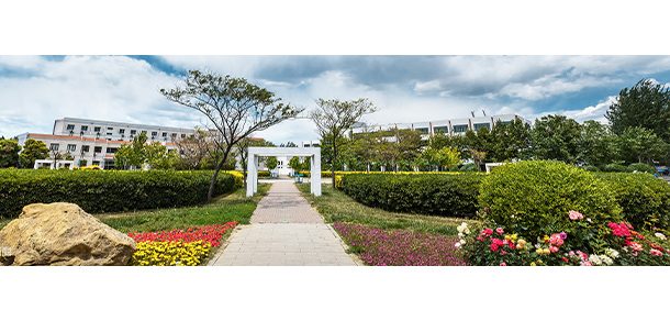 中国民航大学 - 2025年 面向香港、澳门、台湾地区、华侨招生简章