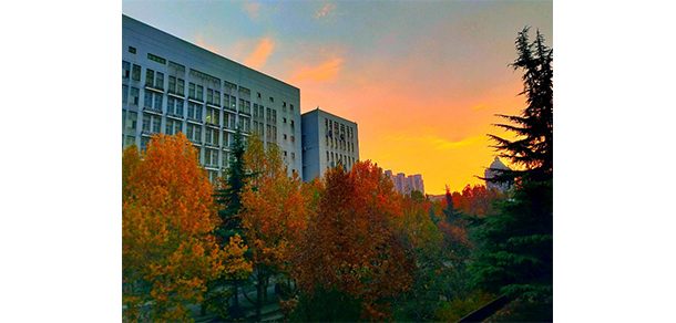 河北医科大学 - 2025年 面向香港、澳门、台湾地区、华侨招生简章