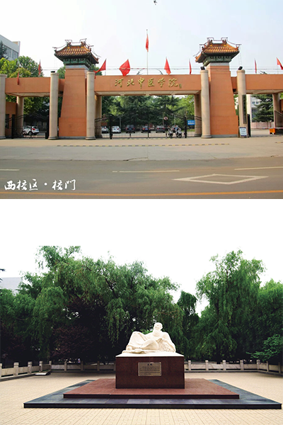 河北中医学院 - 流金歲月