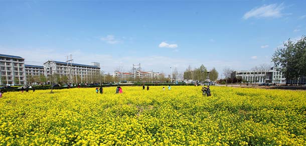 河北科技大学 - 流金歲月