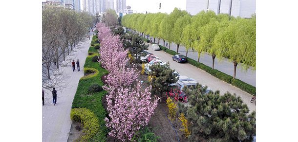 河北农业大学 - 2025年 面向香港、澳门、台湾地区、华侨招生简章