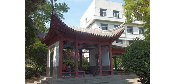 河北农业大学 - 2025年 面向香港、澳门、台湾地区、华侨招生简章