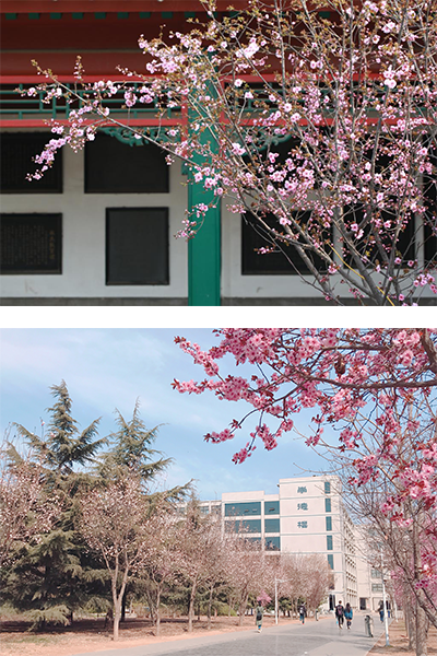 河北农业大学 - 流金歲月