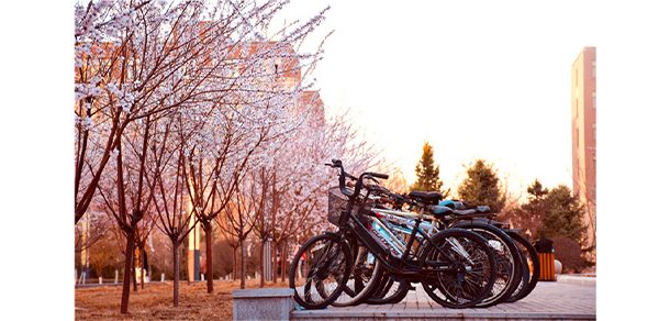 山西医科大学 - 2025年 面向香港、澳门、台湾地区、华侨招生简章