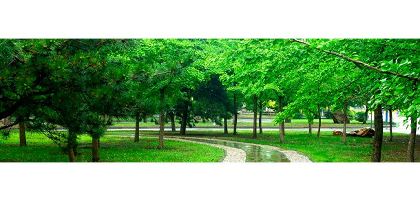 辽宁大学 - 2025年 面向香港、澳门、台湾地区、华侨招生简章