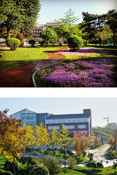 沈阳药科大学 - 流金歲月