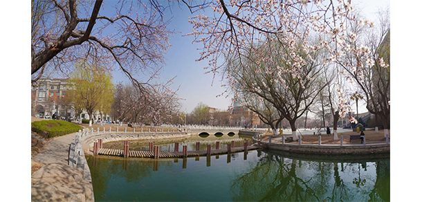渤海大学 - 2025年 面向香港、澳门、台湾地区、华侨招生简章