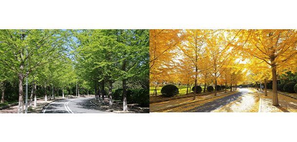 东北财经大学 - 2025年 面向香港、澳门、台湾地区、华侨招生简章