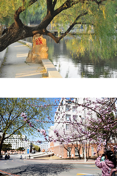 东北师范大学 - 流金歲月