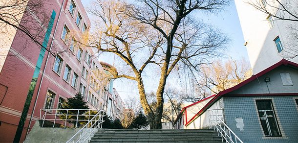 东北林业大学 - 2025年 面向香港、澳门、台湾地区、华侨招生简章