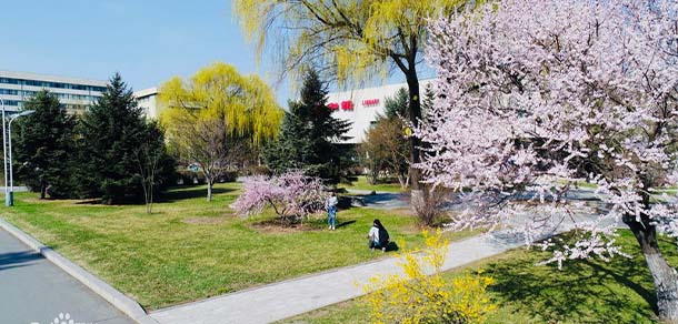 东北农业大学 - 流金歲月