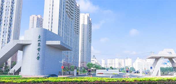 东北农业大学 - 流金歲月