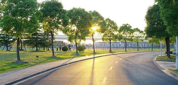 上海健康医学院 - 2025年 面向香港、澳门、台湾地区、华侨招生简章