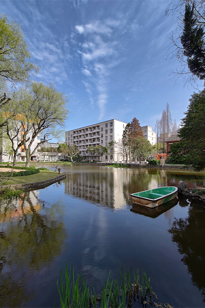上海师范大学 - 流金歲月