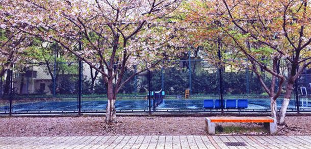 同济大学 - 2025年 面向香港、澳门、台湾地区、华侨招生简章