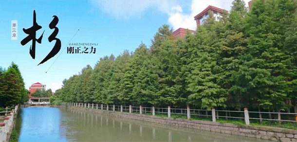 上海杉达学院 - 2025年 面向香港、澳门、台湾地区、华侨招生简章