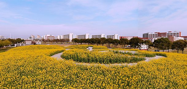 华东理工大学 - 2025年 面向香港、澳门、台湾地区、华侨招生简章