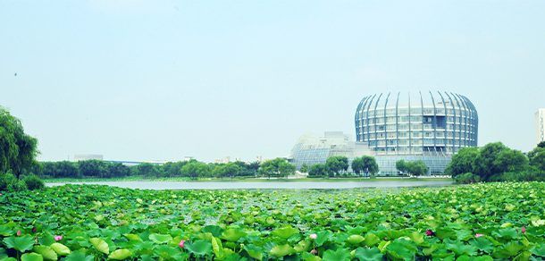东华大学 - 2025年 面向香港、澳门、台湾地区、华侨招生简章