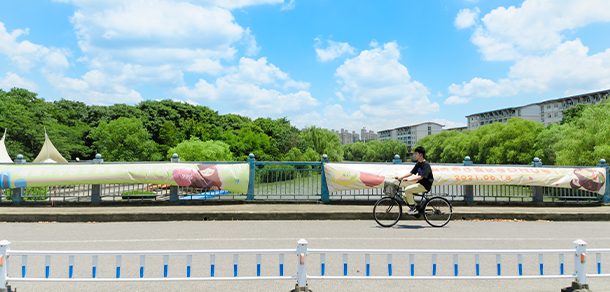 东华大学 - 2025年 面向香港、澳门、台湾地区、华侨招生简章